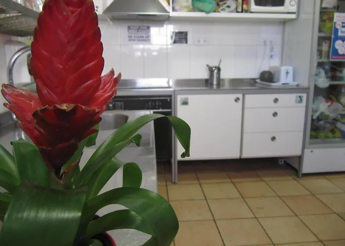 Mellow BarcelonaHostal